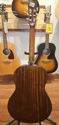 Epiphone - EAPCANCH 2