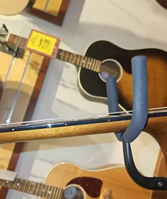 Epiphone - EAPCANCH 2