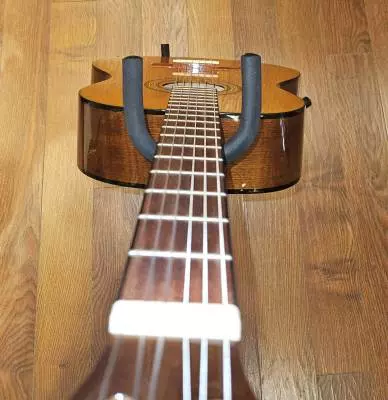 Epiphone - EAPCANCH 2