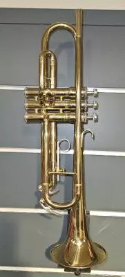 King - 600