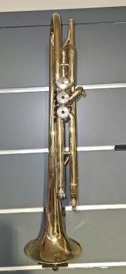 King - 600 2