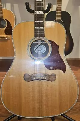 Gibson - ACSD19ANGH 2