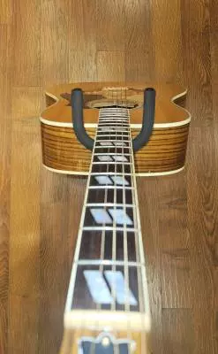 Gibson - ACSD19ANGH 2