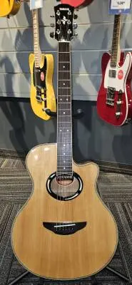 Yamaha - APX500III NT