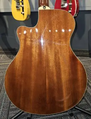 Yamaha - APX500III NT 2