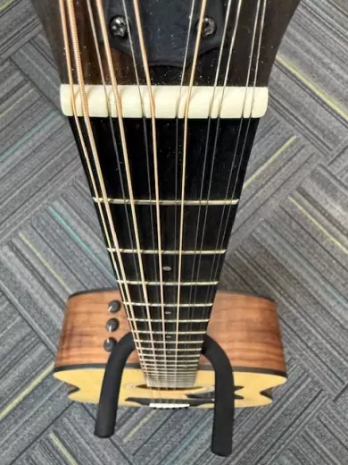 Taylor Guitars - 150E W V2 3