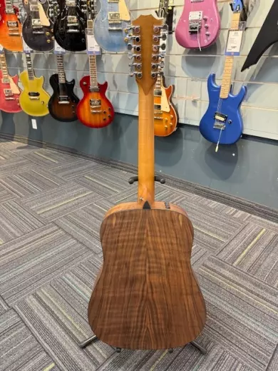 Taylor Guitars - 150E W V2 4