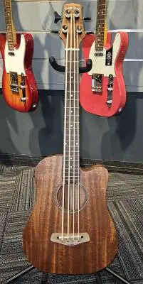 Gold Tone - MICRO BASS