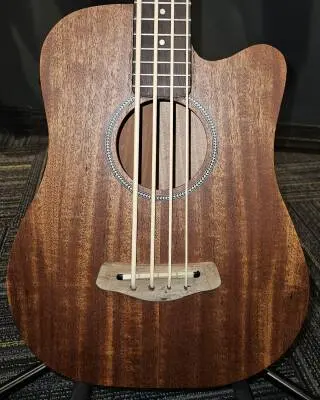 Gold Tone - MICRO BASS 2