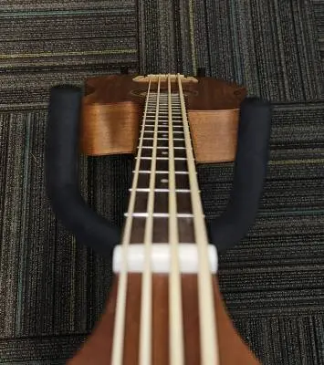 Gold Tone - MICRO BASS 2