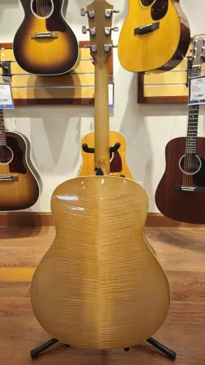 Taylor Guitars - 618E 2