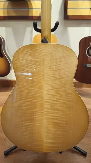 Taylor Guitars - 618E 2