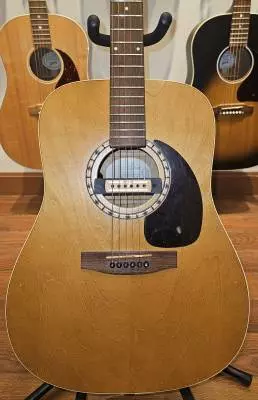 Art & Lutherie Almond 2