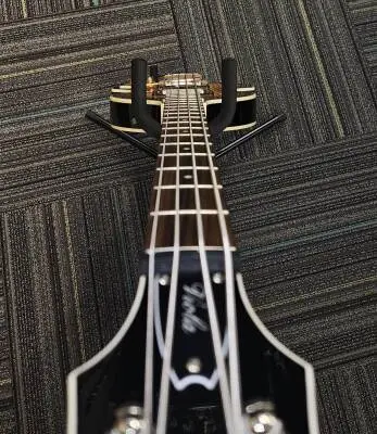Epiphone - EBVIVSCH 2