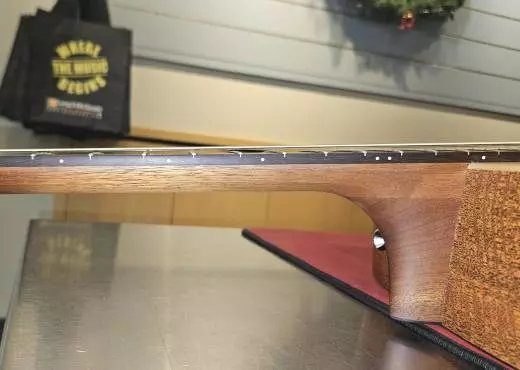 Martin Guitars - DX2E-2 2