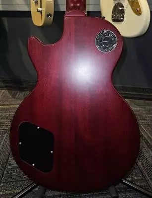 Epiphone - EL59ADCNH 2