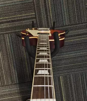 Epiphone - EL59ADCNH 2