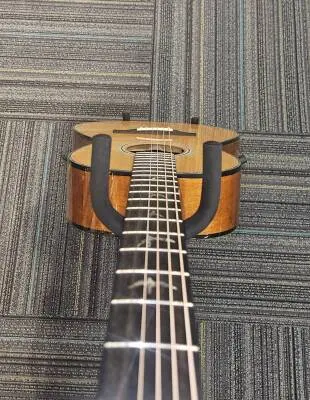 PRS Guitars - 111030::BG: 2