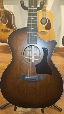 Taylor Guitars - 324CE V9 3