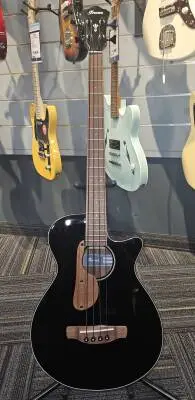 Ibanez - AEGB24EBKH