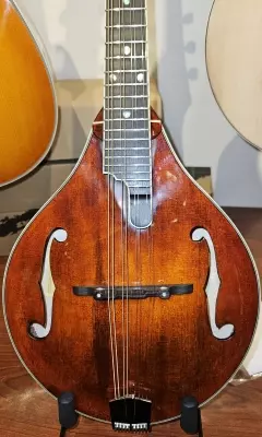 Eastman Guitars - MD805 2