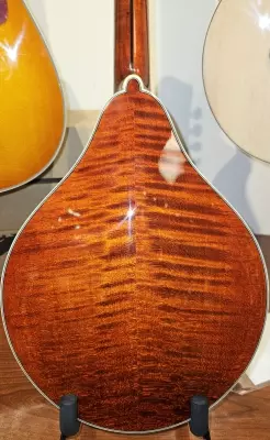 Eastman Guitars - MD805 2