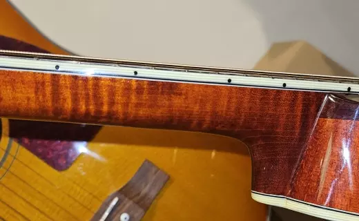 Eastman Guitars - MD805 2