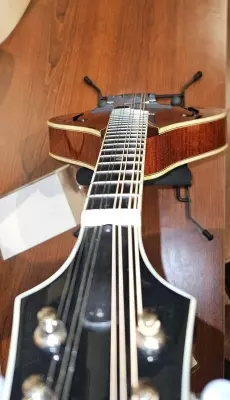 Eastman Guitars - MD805 2