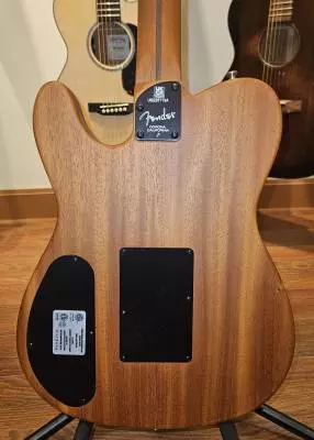 Store Special Product - Fender - 097-2013-232