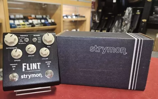 Strymon - FLINT