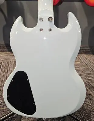 Epiphone - ES1PPSGFBNH 2