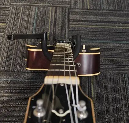 Godin Guitars - G33560 2