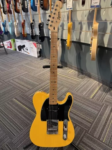 Squier - 037-3453-550