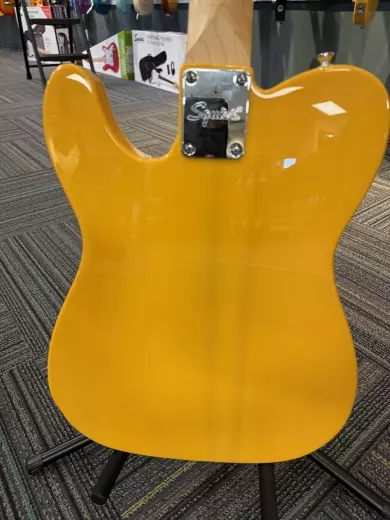 Squier - 037-3453-550 2