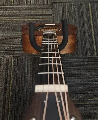 Taylor Guitars - GS MINI M 2