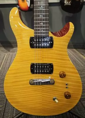 PRS SE - 103495:AB 2