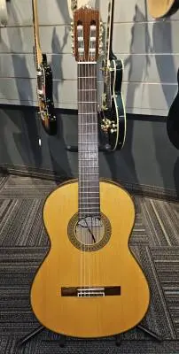 YAMAHA NYLON STRINGS GUITARFLEMENCO TASTE