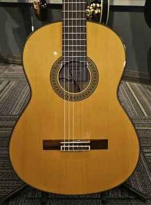 YAMAHA NYLON STRINGS GUITARFLEMENCO TASTE 2