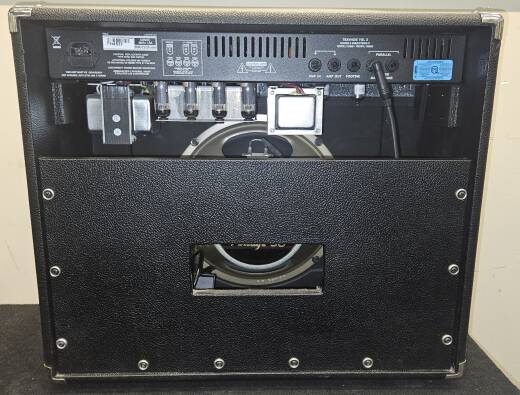 Store Special Product - Traynor - YGL2