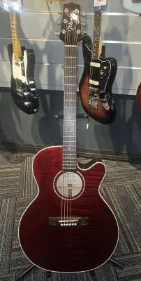 Takamine - EG440CSTRY
