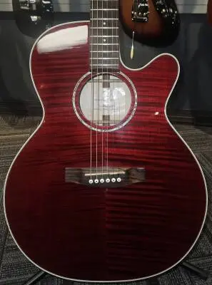 Takamine - EG440CSTRY 2