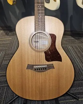 Taylor Guitars - GT URBAN ASH 2