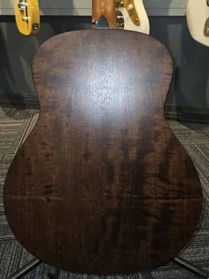 Taylor Guitars - GT URBAN ASH 2