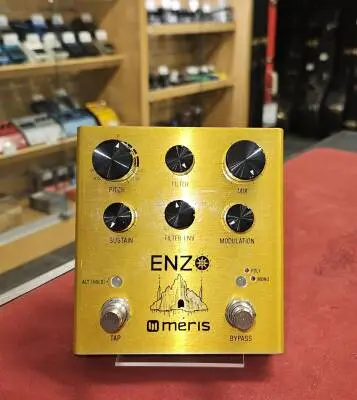 Meris Enzo Multi-Voice Synthesizer Pedal