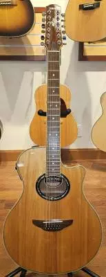 Yamaha APX700-12NT