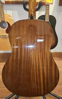 Epiphone - EAPCANCH 2