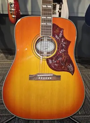 Epiphone - EEHBFCNH 2
