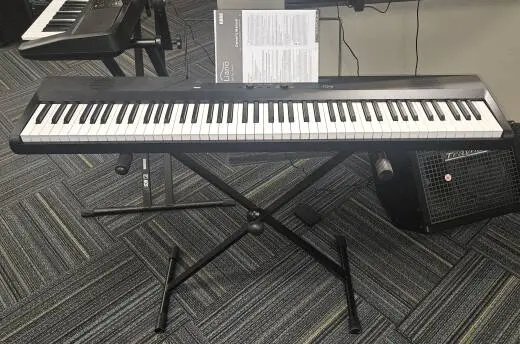 Korg - L1