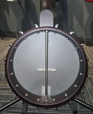Deering Banjo Company - D-AAM 2