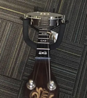 Deering Banjo Company - D-AAM 2